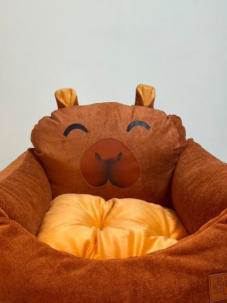 Sonho Capivara G