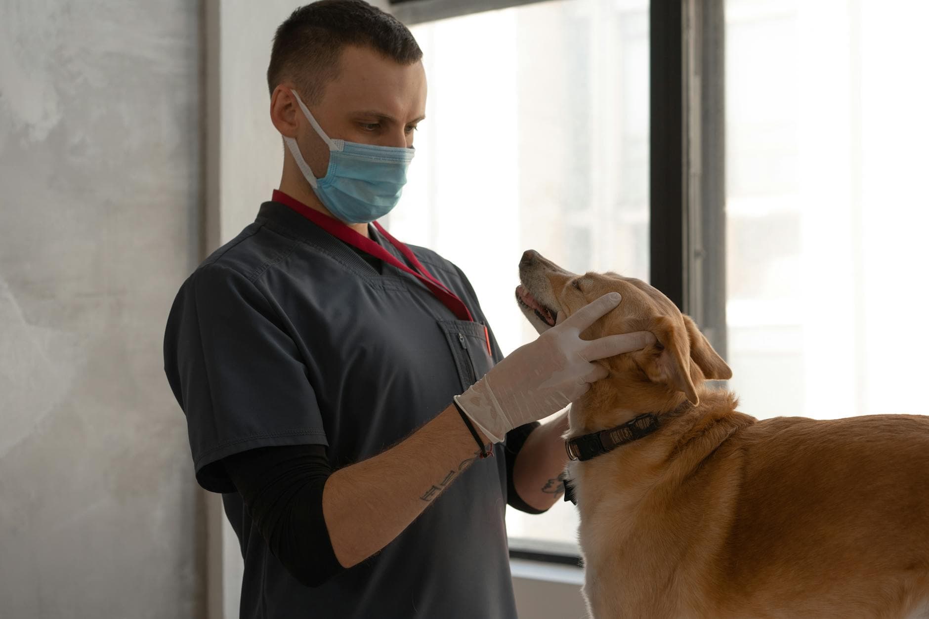 laboratório veterinário