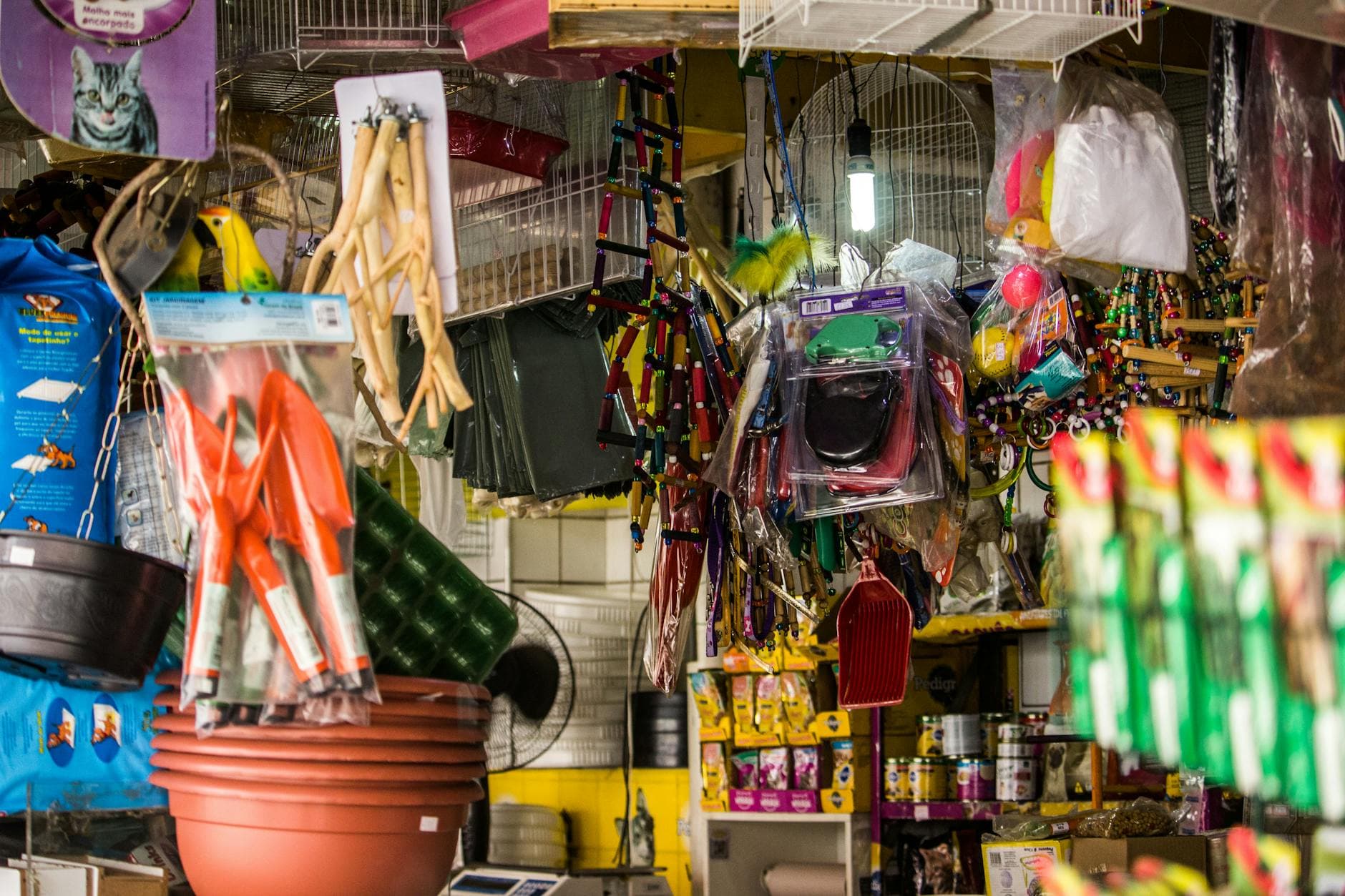 vitrine boutique pet